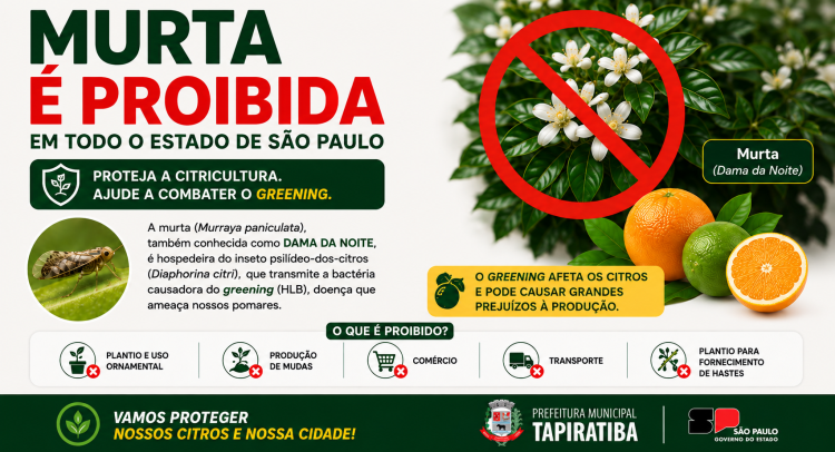 Capa da notícia
