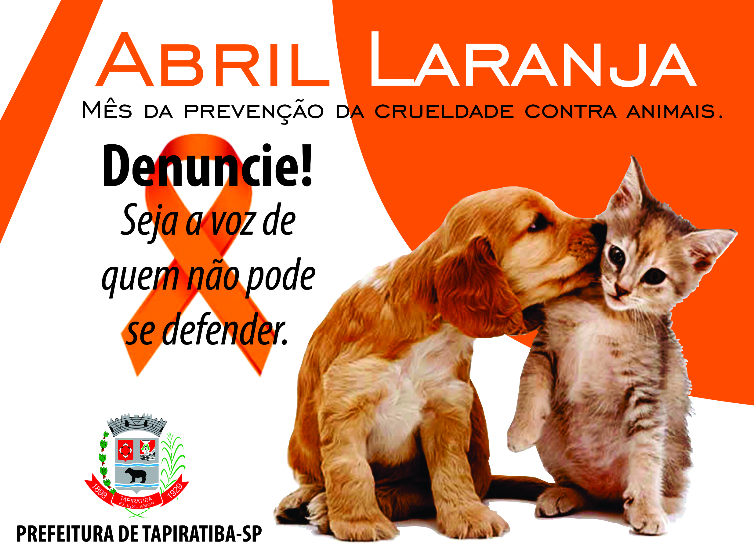 Administração de Ituporanga vai lançar campanha contra maus-tratos a  animais - Prefeitura Municipal de Ituporanga